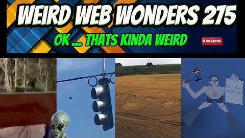 weird web wonders 275