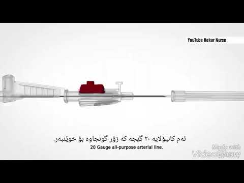 How To Insert Cannula Into Artery چۆنێتی دانانی کانیۆلا لە خوێنبەردا وە بۆچی بەکاردێت