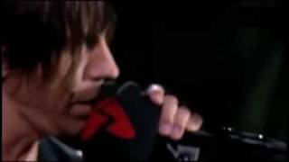 Red Hot Chili Peppers - Don't Forget Me(Live At Reading And Leeds Festival)