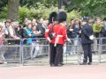 Trooping the Colour parade 2015, part 4. "Pace Sticks"