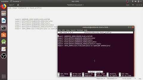 How to set environmental variables in ubuntu ||Setting environmental variables