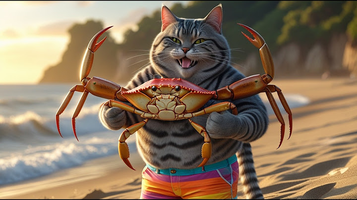 🔥 Grilled Crab Fire Feast! Michelin Chef Cat’s Ultimate Beach BBQ 🦀🔥