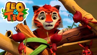 Leo and Tig 🦁 Pango the Magnificent - Episode 43 🐯 Funny Family Animated Cartoon for Kids by Leo and Tig 12,339 views 4 months ago 11 minutes, 1 second