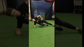 Adductor Side Plank with Hip Flexion