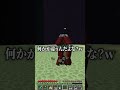 【マイクラ】海外でバズった謎が多すぎるマイクラが面白すぎるwww