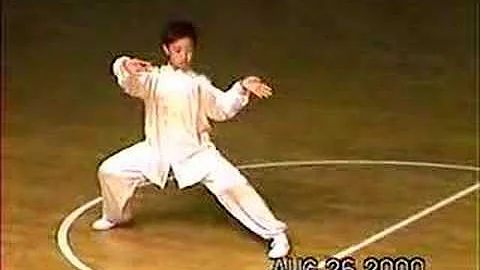 Chen Taijiquan demo from Chen Xiaowang's son, Chen Pengfei