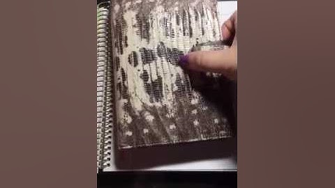 Recollections Goal Planner Flip Through