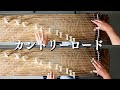 「カントリーロード」箏二重奏 "Take Me Home,Country Roads"koto duo