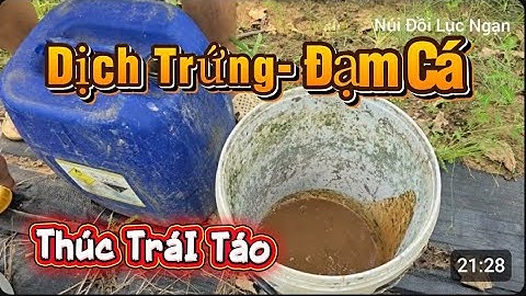 HƯỚNG DẪN SỬ DỤNG ĐẠM CÁ, DỊCH TRỨNG DINH DƯỠNG CHO VƯỜN TÁO BẮC GIANG I NÚI ĐỒI LỤC NGẠN
