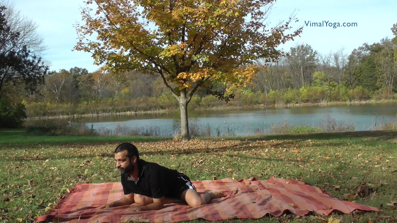 Vrishabhasana
