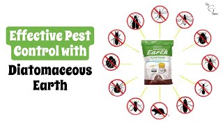 Effective Pest Control with Diatomaceous Earth  Complete Guide & Tips