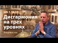 2019-05-15 - ШБ 1.16.19 - Дисгармония на трех уровнях (Владивосток)