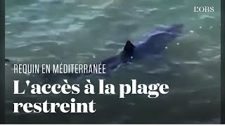 Un requin longe depuis 48 heures les plages de la ville d'Hyères, dans le Var