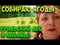 КАБАНЫ В ЛЕСУ! СОБИРАЮ ЛЕСНЫЕ ЯГОДЫ НА УРАЛЕ. ЛЕТОМ В ЛЕСУ.