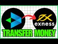 How To Transfer Money From Delta Exchange To Exness (2025)