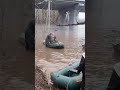 Эвакуация собак из питомника под Оренбургом