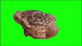 Green screen meme 3