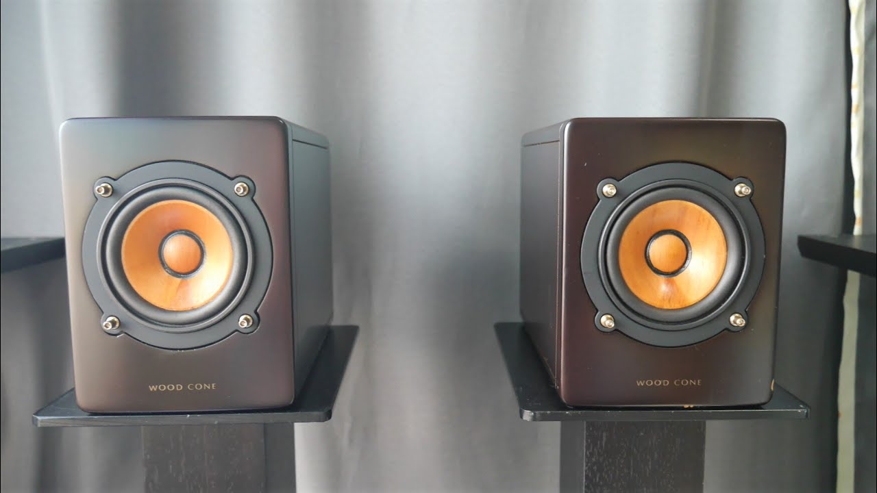 Victor ウッドコーンスピーカー SP-EXAR3 直径9cm フルレンジ 9cm大きめのビクターウッドコーンフルレンジスピーカー空気録音 SP