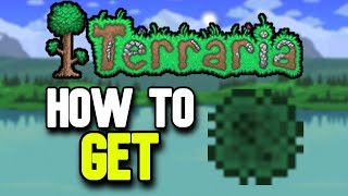 How to Get Grass Walls in Terraria