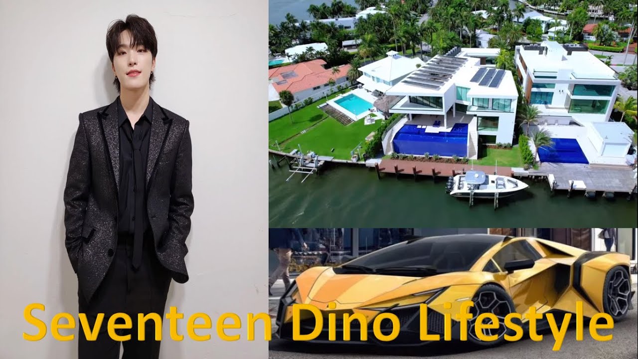 Seventeen Dino Biography, Career,  family and fact