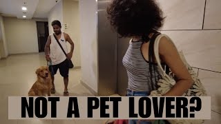 I&#39;m Not Pet Hater! || I Will Miss Ganapati || Human Lover || RR VIDEOS