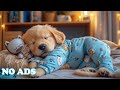 12 Hours Of Dog Music 🐺 Music to Help Dogs Calm Down 🎷 Gentle Melodies to Help with Rest - NO ADS