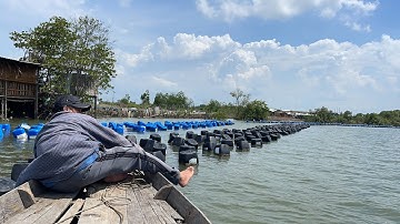 Câu Cá Thiên Nhiên Rừng Cần Giờ  Nhân Quán Gò Vấp #nhânquángòvấp