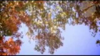 Sweet Beulah Land - ViEW Track