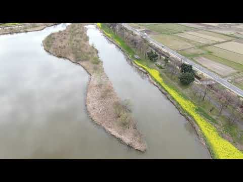 リアルカメラ屋ｉｎｏ   代表 井上康弘