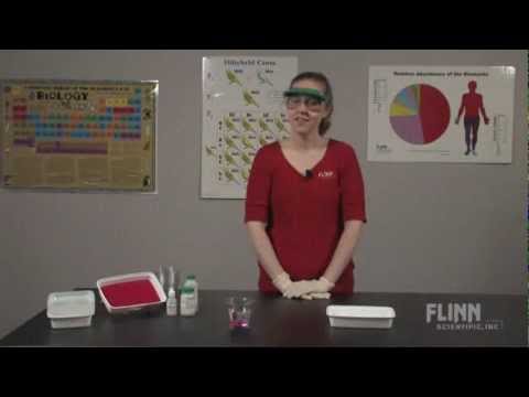 cell-size-and-diffusion