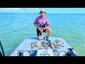 How to catch all kinds of fish using my simple rig