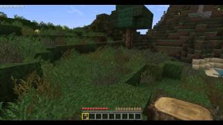 Lets Play Minecraft #001 - Endlich geht es LOS!