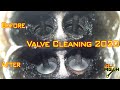 How to clean intake valves on Direct/Indirect injection engines without REMOVING anything / ALIMECH