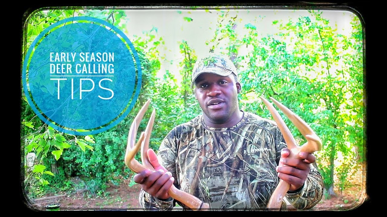 Early Season Deer Calling Tips - YouTube