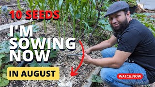 Vegetable Seeds To Sow In August - Seeds I'm Sowing Now by My Family Garden 5,627 views 9 months ago 13 minutes, 59 seconds