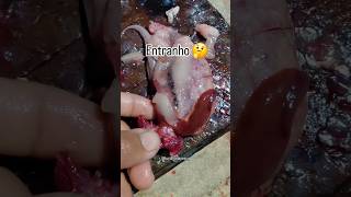 Fiquei curioso..#pescaria #peixe #pesca #viral #amazônia