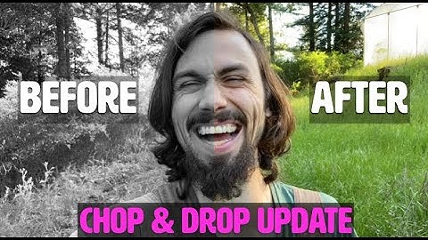 BEFORE & AFTER | Permaculture Chop & Drop Scotch Broom Update with Matt Powers