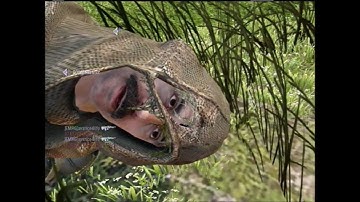 Tomahawk cross map on Hazard