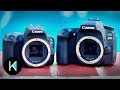 Canon SL2 vs 80D -  Which One To Get?