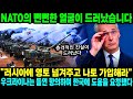 LIVE 국가 군사 비밀 LIVE 공개! 대한민국의 위대한 역사와 미래! 위대한 대한민국의 군사 소식과 친절한 한국인을 뉴스튜브에서 확인하세요!