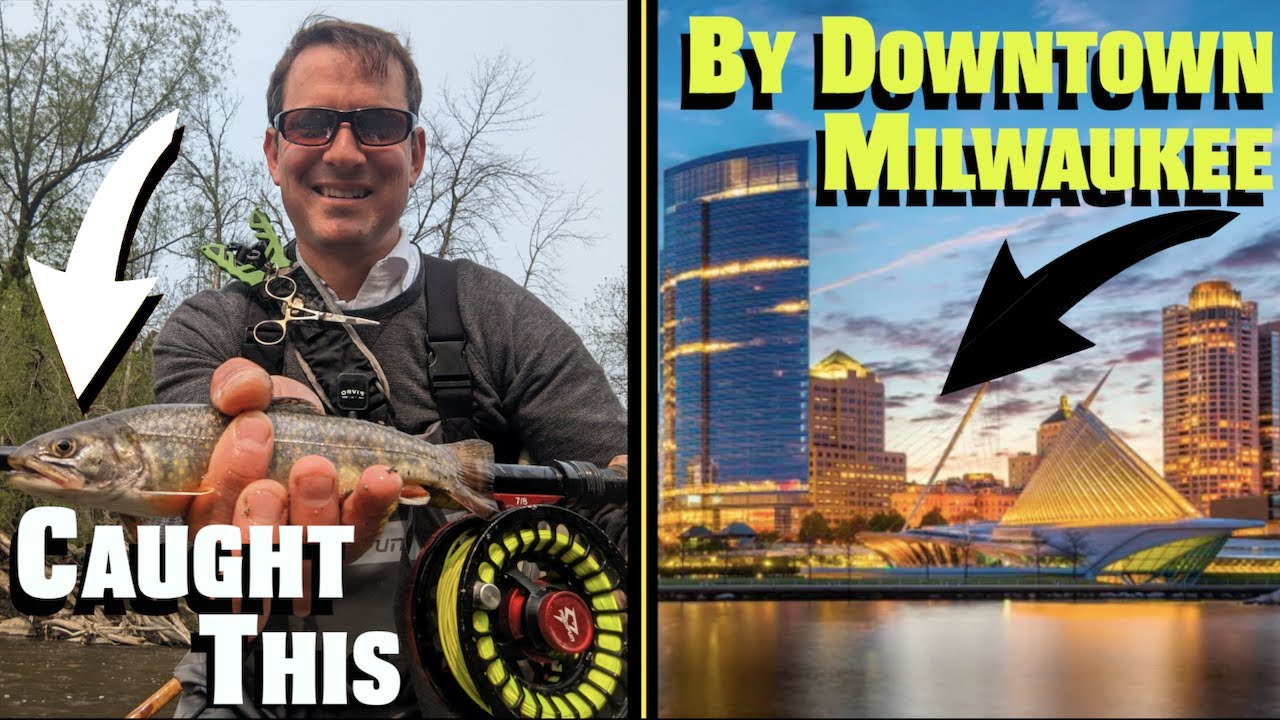 Catching Brook Trout (& more) in Urban Milwaukee River near