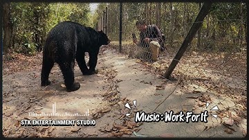 [ Work For It ] – #STKEntertainmentStudio | Official Music Video