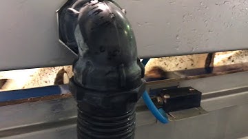 Sorting Machine for Oysters- South Australia