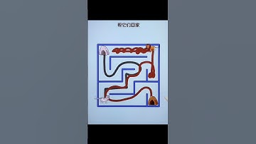 Help them go home level 03.#shorts #youtubeshorts