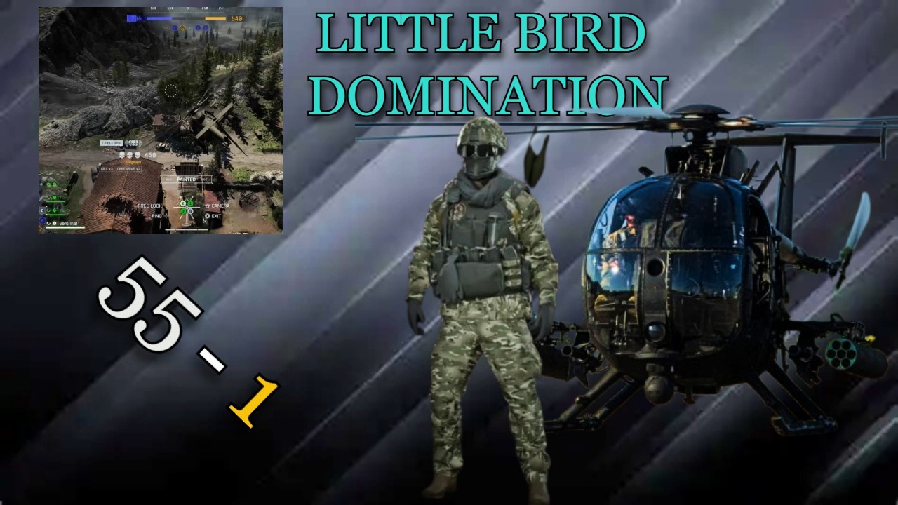 The LITTLE BIRD Has RETURNED