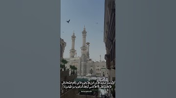 سورة التوبة : إنما يعمر مساجد الله