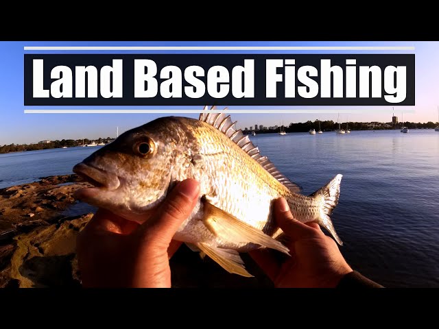 Land Based Fishing - EcoGear ZX 35 - OSP Bent Minnow - Berkley