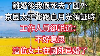 離婚後我假死去了國外,京圈太子爺跟白月光領証時,工作人員卻説道:不好意思,這位女士在國外已婚了