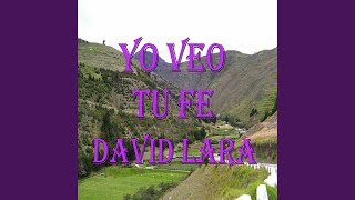 Video thumbnail of "David Lara - Yo Veo Tu Fe"