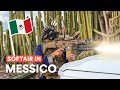 Mi hanno invitato in MESSICO per giocare!